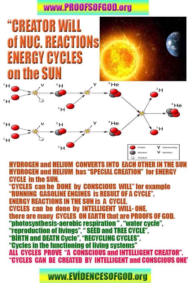 proofs of god, evidences of god, god-proofs, god-signs, god-evidences, god exists, god-real, god is real, provas de deus, evidências de deus, sinais de deus, provas de deus, evidências de deus, deus é real, deus existe 