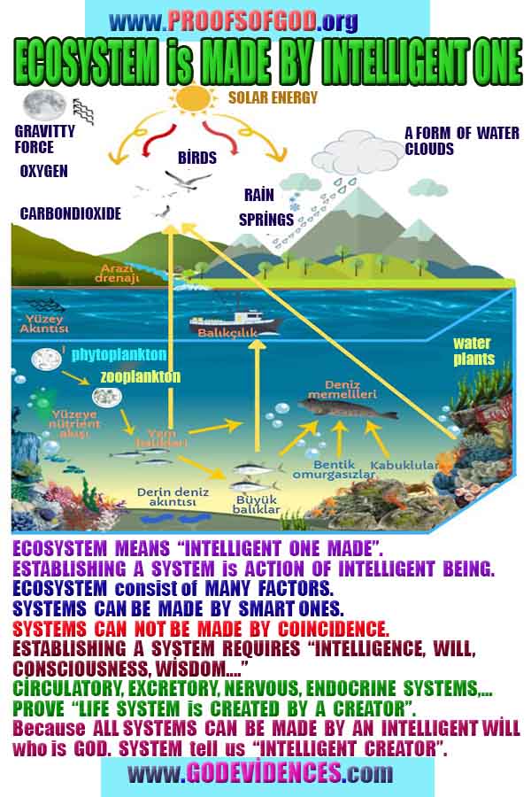 proofs of god, evidences of god, god-proofs, god-signs, god-evidences, god exists, god-real, god is real,god-exists, #god, 신의 증거, 신의 증거, 신의 표징, 증거-신, 증거-신, 신은 실재한다, 신은 존재한다 