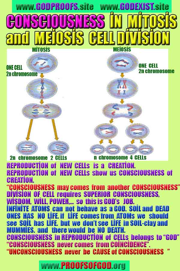 proofs of god, evidences of god, god-proofs, god-signs, god-evidences, god exists, god-real, god is real,god-exists, #god, #godreal, #godexists, #godproofs, bukti-bukti tuhan, bukti-bukti tuhan, tanda-tanda tuhan, bukti-tuhan, bukti-tuhan, tuhan itu nyata, tuhan itu ada, @tuhan, #tuhan