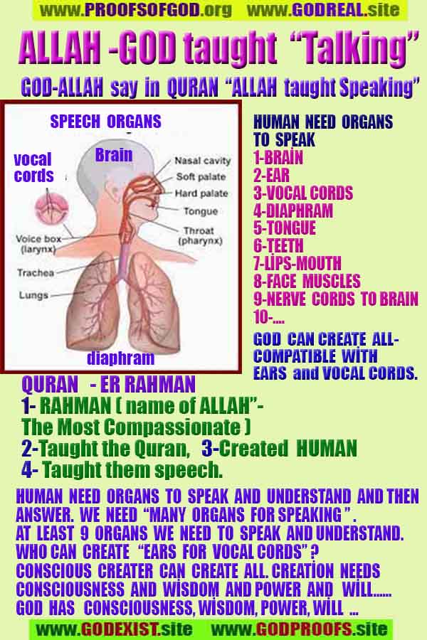 proofs of god, evidences of god, god-proofs, god-signs, god-evidences, god exists, god-real, god is real, 上帝的證明，上帝的證據，上帝的跡象，上帝的證據，上帝的證據，上帝是真實的，上帝存在 