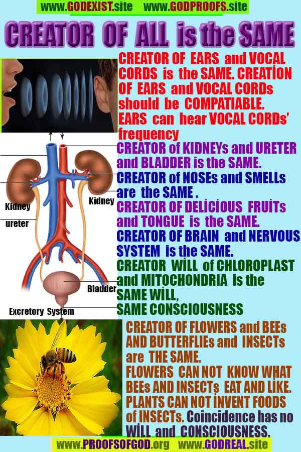 proofs of god, evidences of god, god-proofs, god-signs, god-evidences, god exists, god-real, god is real, 神の証明、神の証拠、神の兆候、神の証明、神の証拠、神は実在する、神は存在する 