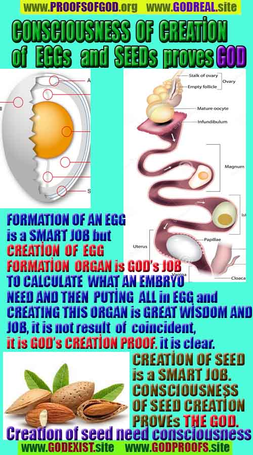 proofs of god, evidences of god, god-proofs, god-signs, god-evidences, god exists, god-real, god is real, pruebas de dios, evidencias de dios, signos de dios, pruebas-dios, evidencias-dios, dios es real, dios existe 