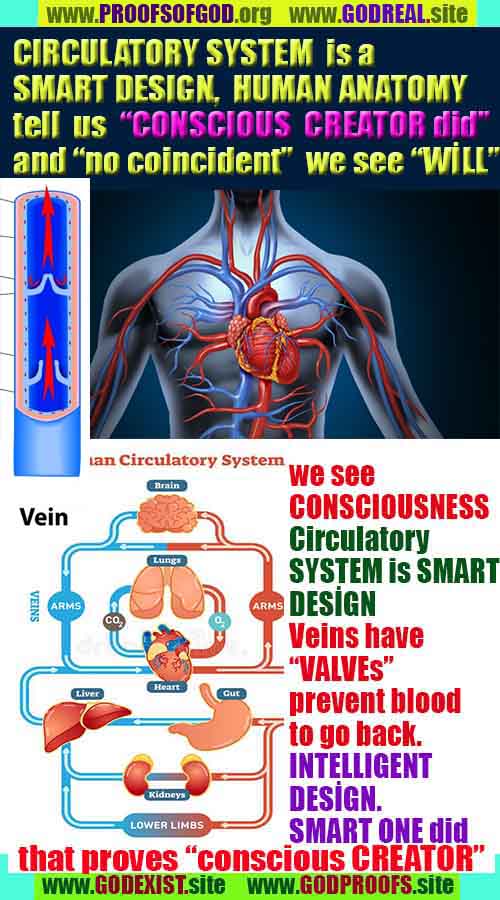 proofs of god, evidences of god, god-proofs, god-signs, god-evidences, god exists, god-real, доказательства существования Бога, доказательства существования Бога, знаки Бога, доказательства-бога, доказательства-бога, бог реален, бог существует 