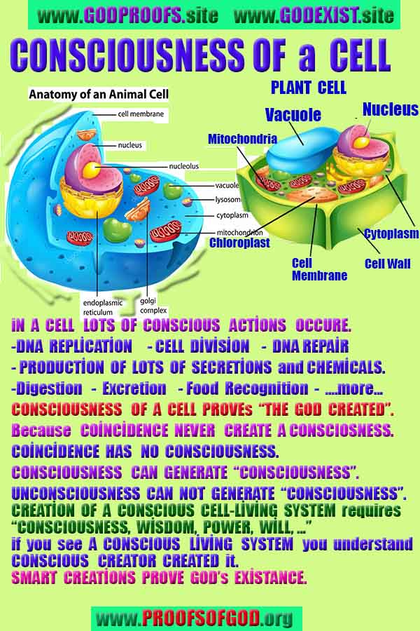 proofs of god, evidences of god, god-proofs, god-signs, god-evidences, god exists, god-real, god is real,god-exists, #god, #godreal, #godexists, #godproofs, bukti-bukti tuhan, bukti-bukti tuhan, tanda-tanda tuhan, bukti-tuhan, bukti-tuhan, tuhan itu nyata, tuhan itu ada, @tuhan, #tuhan