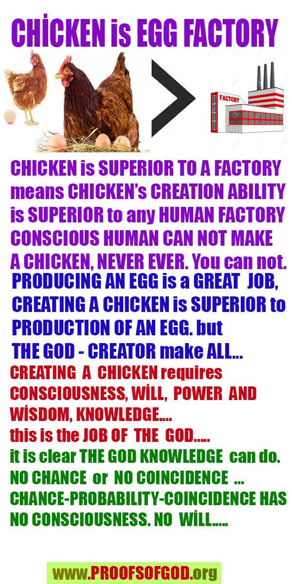 proofs of god, evidences of god, god-proofs, god-signs, god-evidences, god exists, god-real, god is real, pruebas de dios, evidencias de dios, signos de dios, pruebas-dios, evidencias-dios, dios es real, dios existe 