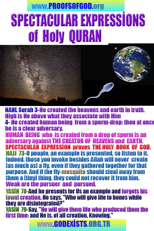 proofs of god, evidences of god, god-proofs, god-signs, god-evidences, god exists, god-real, god is real,god-exists, #god, #godreal, #godexists, #godproofs, bukti-bukti tuhan, bukti-bukti tuhan, tanda-tanda tuhan, bukti-tuhan, bukti-tuhan, tuhan itu nyata, tuhan itu ada, @tuhan, #tuhan