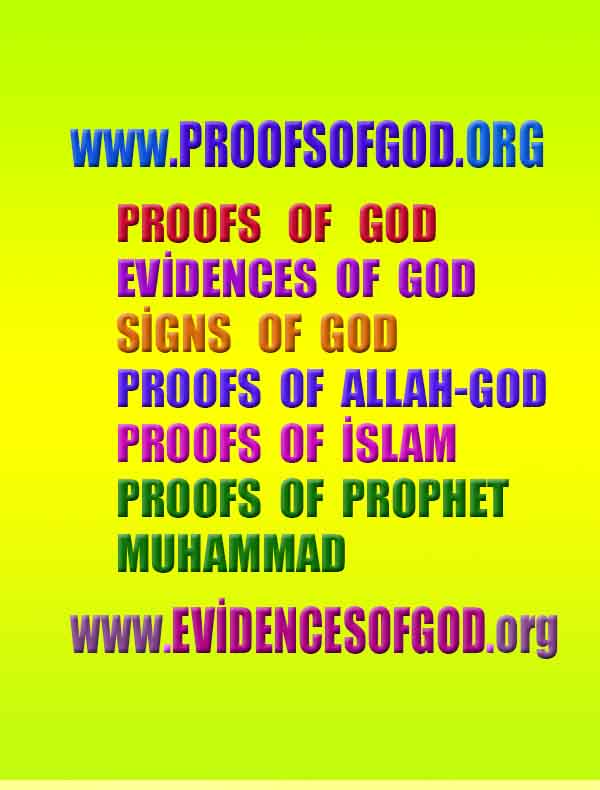 proofs of god, evidences of god, god-proofs, god-signs, god-evidences, god exists, god-real, god is real, preuves de dieu, preuves de dieu, signes de dieu, preuves-dieu, preuves-dieu, dieu est réel, dieu existe 